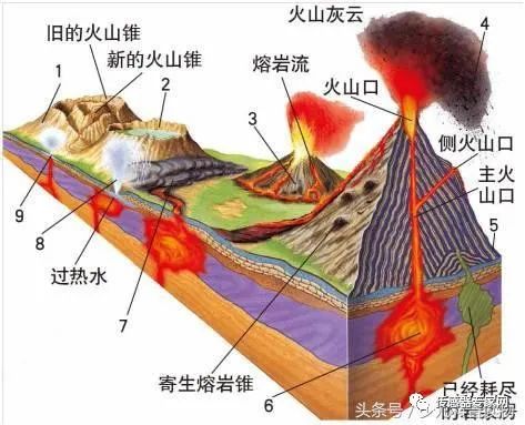 微信图片_20220121185611.jpg 微信图片_20220121185611.jpg